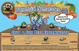beneficial-nematodes