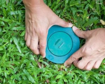 how to install termite bait stations