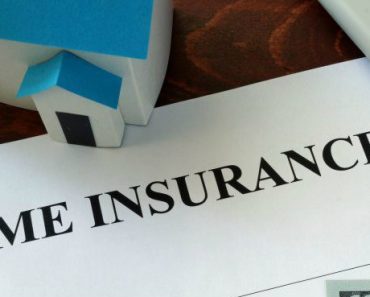 is termite damage covered by insurance