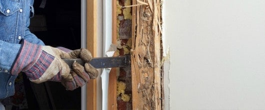 termite treatment health risks