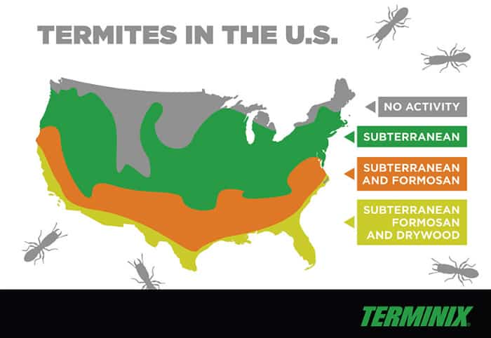 what states have termites