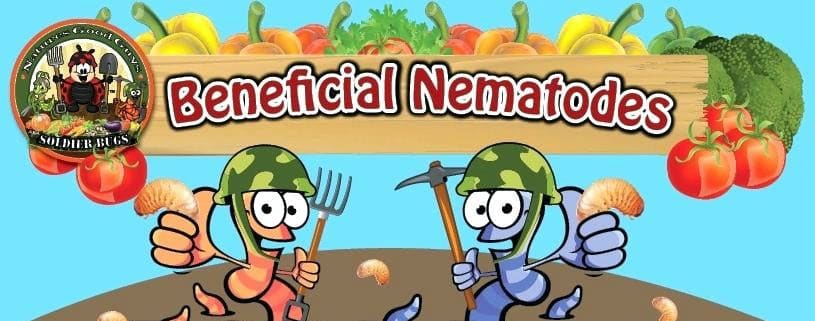 when to use nematodes