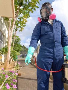 A man spraying insecticides