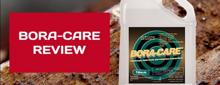 Bora Care Termite Treatment Review