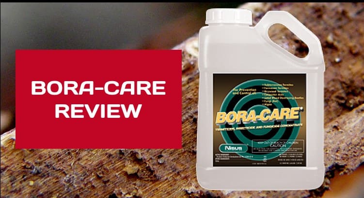 Bora Care Termite Treatment Review