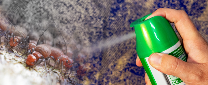 Termite Control Spray - Header Graphic