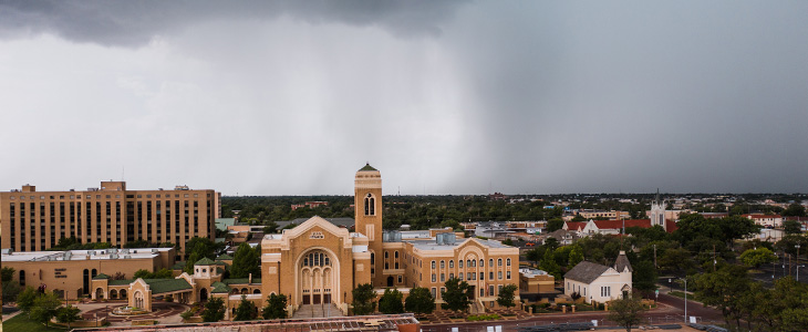 Texas Panhandle Braces for Serious Termite Issues in 2023